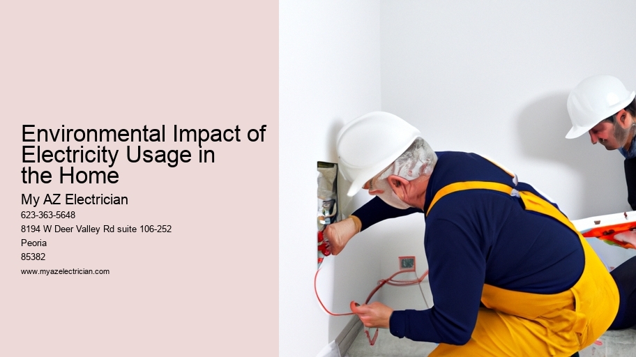 Environmental Impact of Electricity Usage in the Home